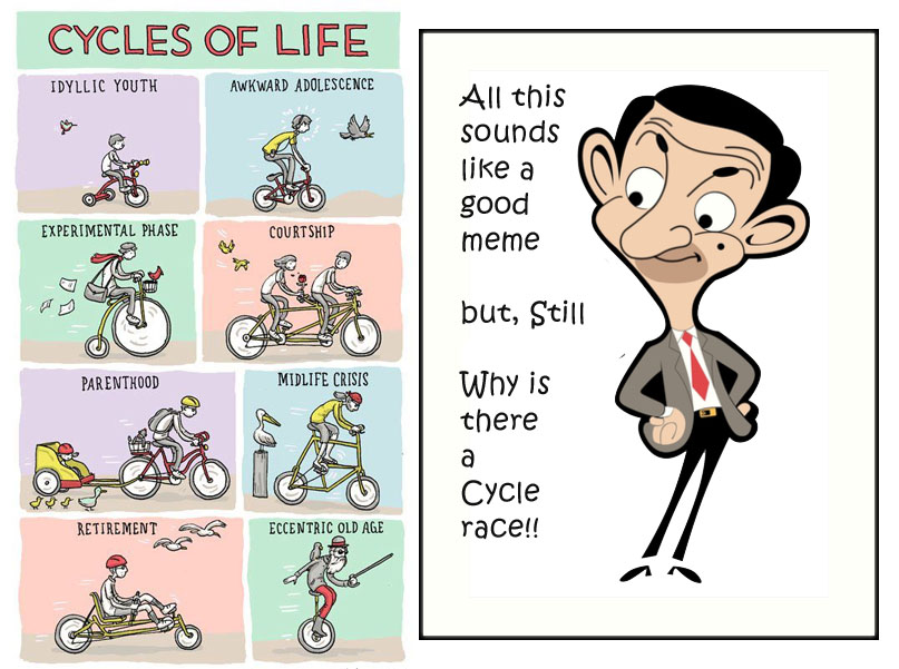 mr bean cycles of life